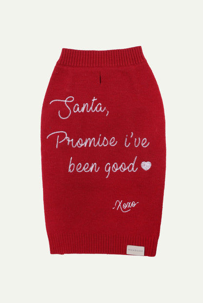 Santa promise Dog Jumper