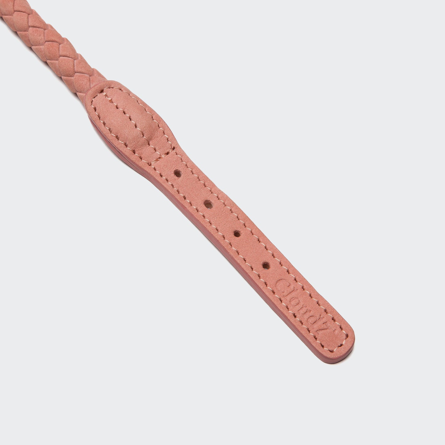 Best Dog Collar