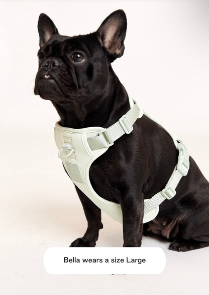 MAXBONE Double Panel Dog Harness in Lavender, Mint, Charcoal, Peach & Sand