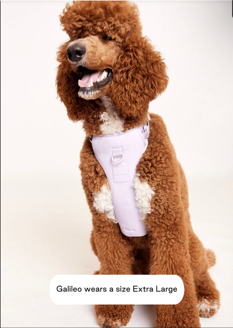 MAXBONE Double Panel Dog Harness in Lavender, Mint, Charcoal, Peach & Sand
