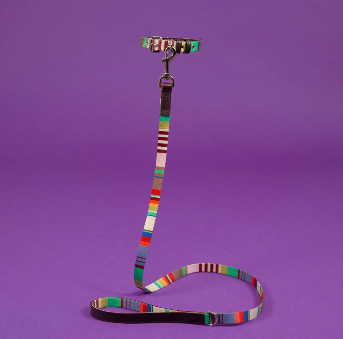Ware of the Dog New York - Lavender/Burgandy Multi Striped Webbed Dog Collar & Lead Set