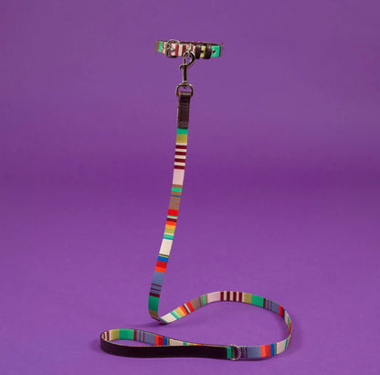 Ware of the Dog New York - Lavender/Burgandy Multi Striped Webbed Dog Collar & Lead Set