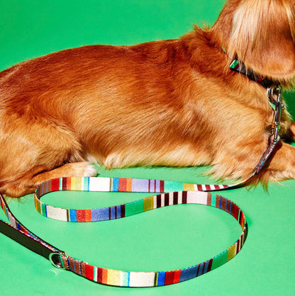 Ware of the Dog New York - Lavender/Burgandy Multi Striped Webbed Dog Collar & Lead Set