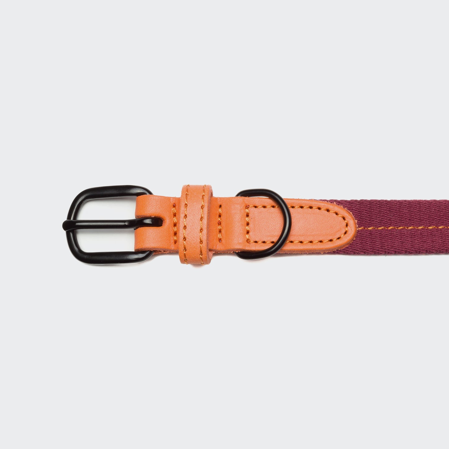 Best dog collars australia